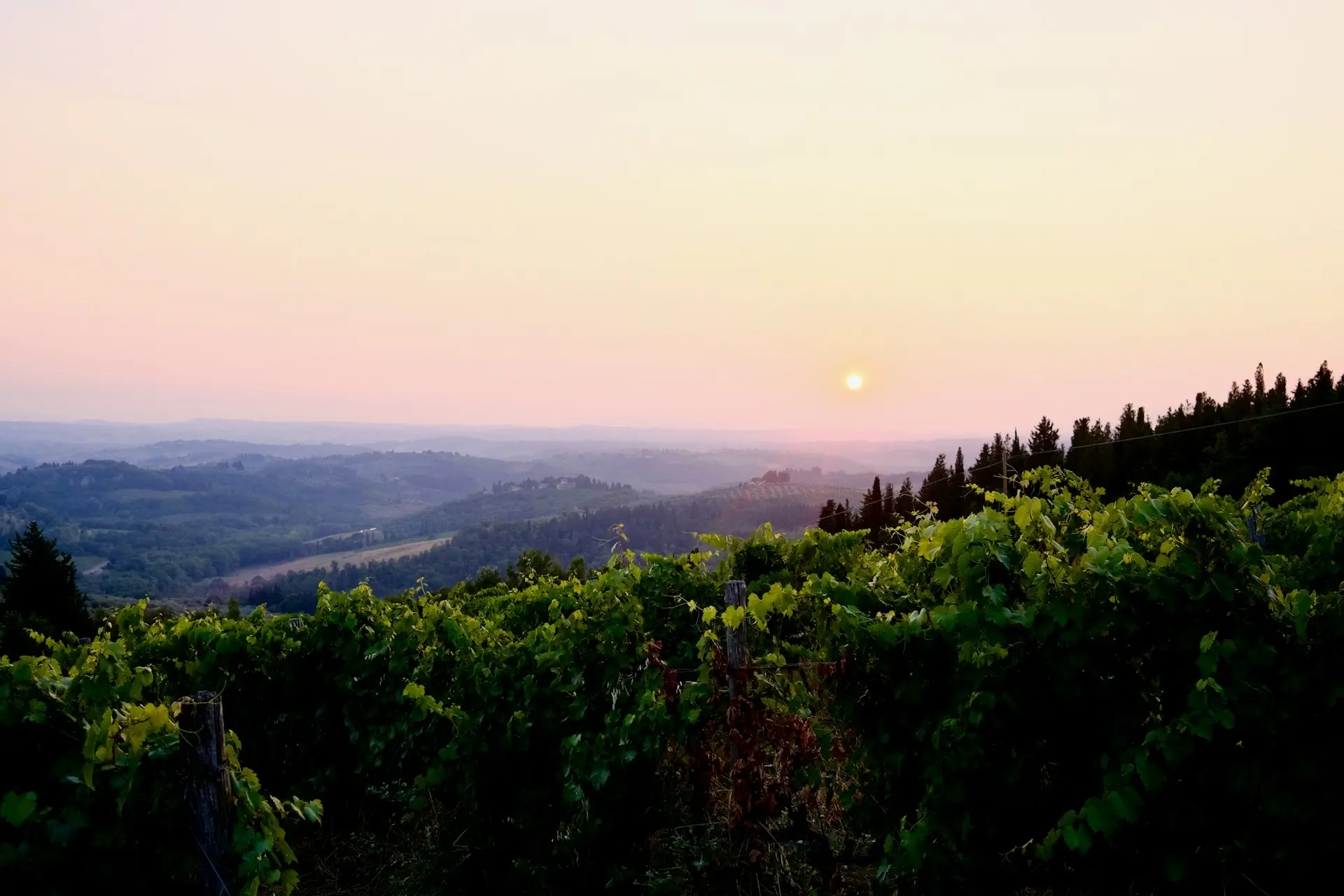 2026 10 Km Free Pace