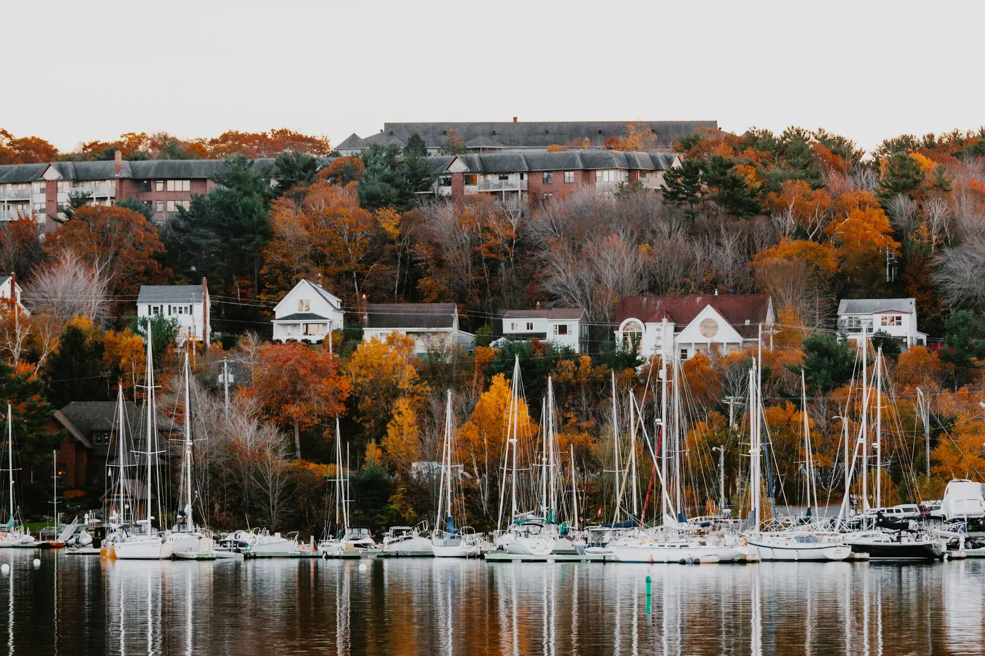 2027 Atlantic Chip Half Marathon