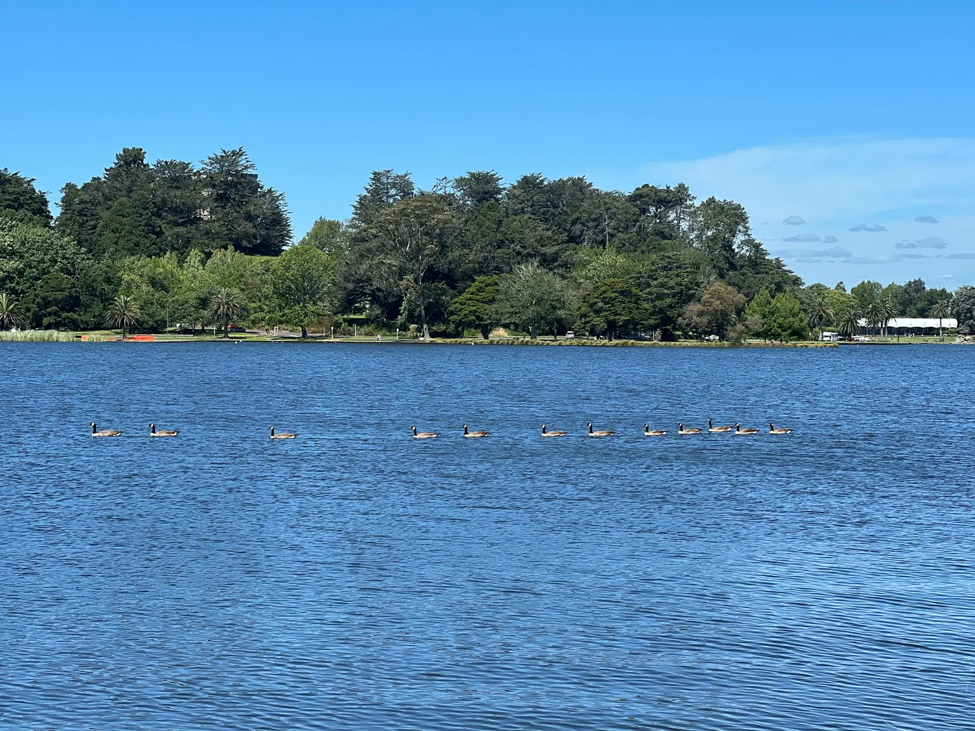 2026 100 Mile Trail Race