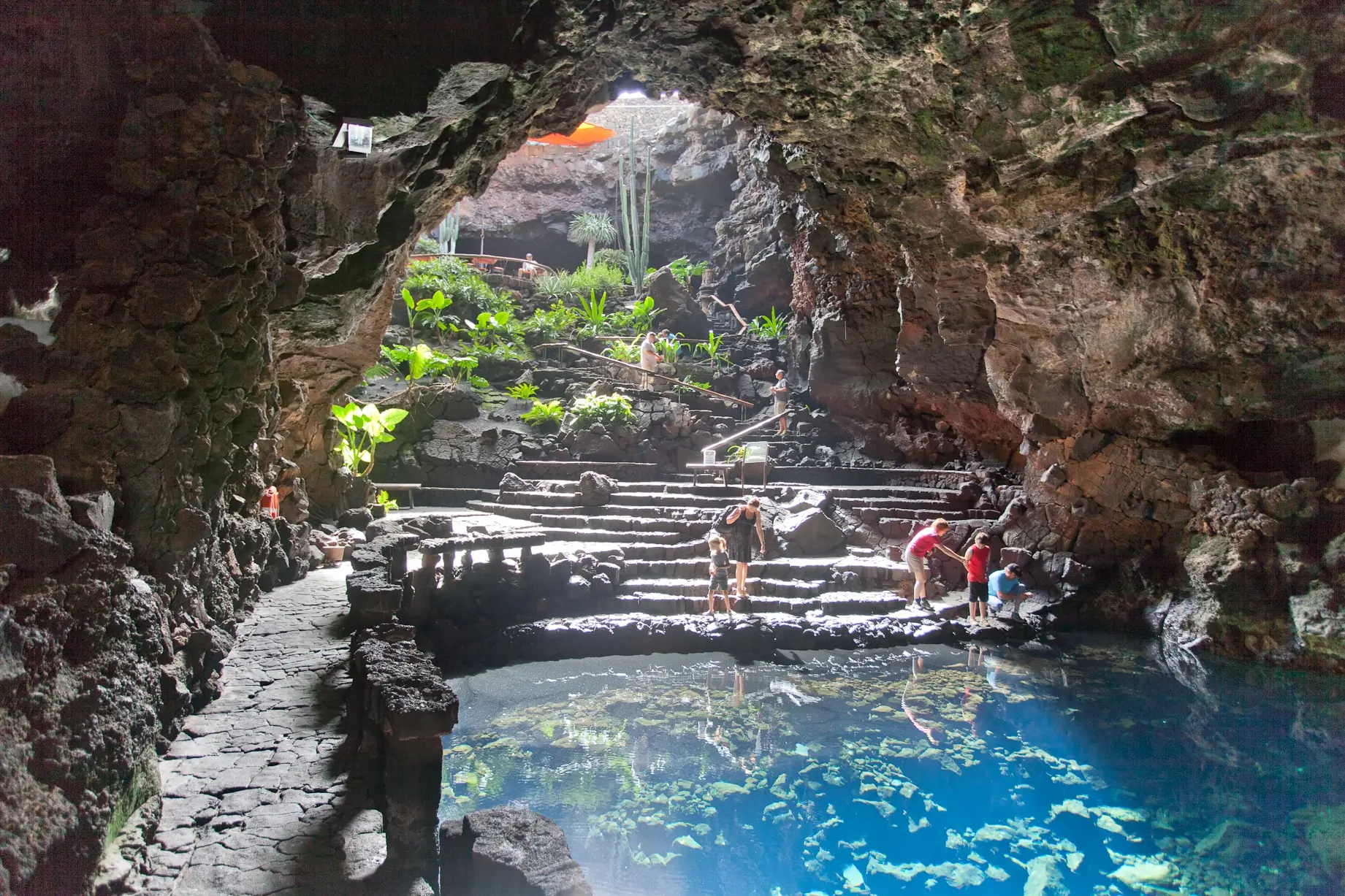 2026 Meia Maratona