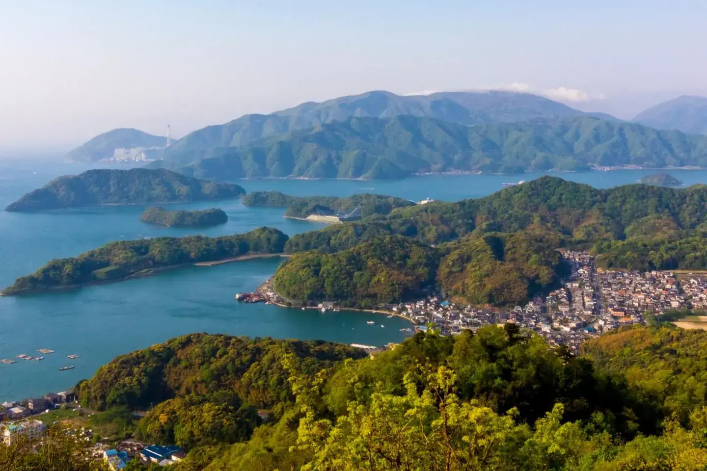 2026 Half Marathon