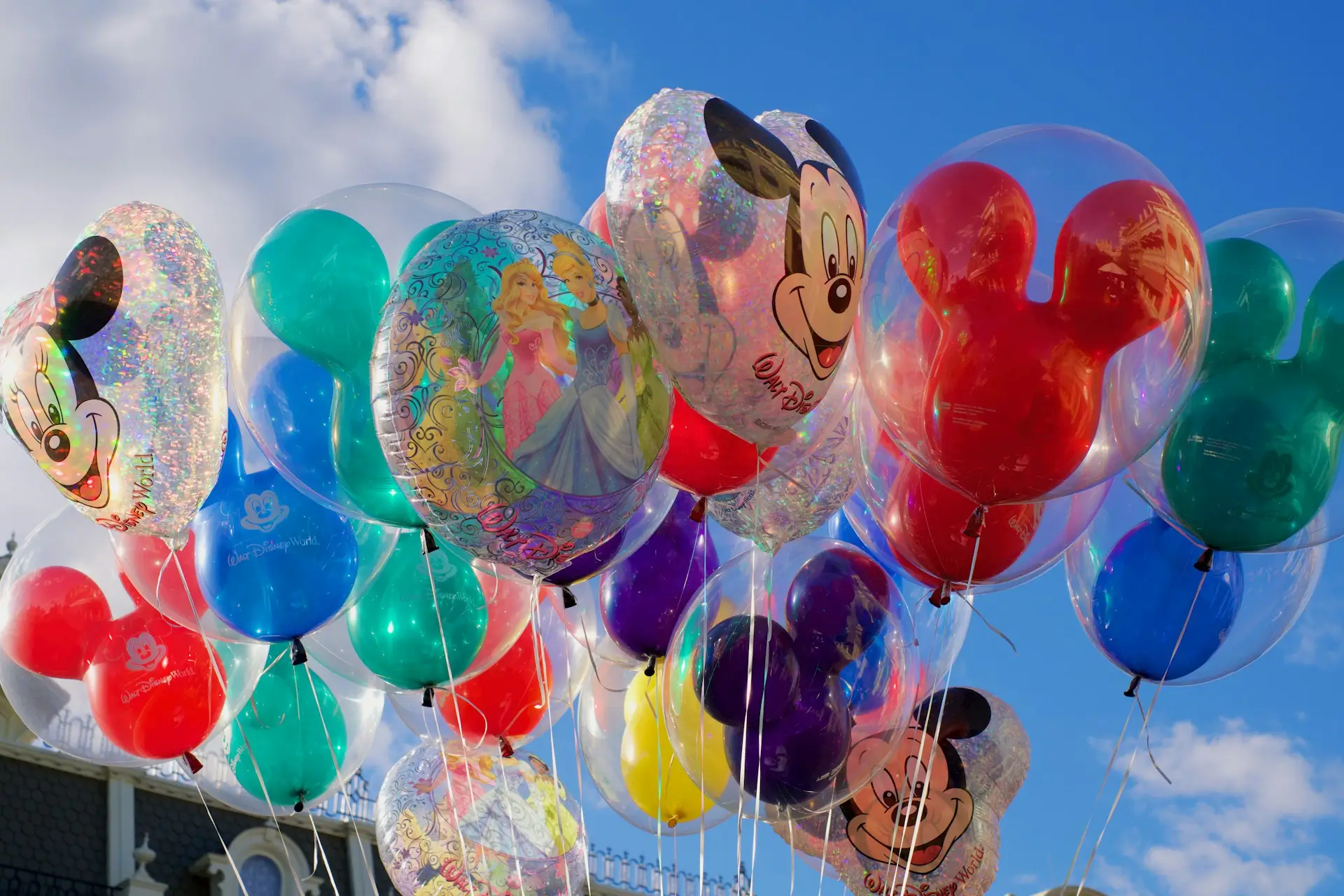 2027 DIsney Princess Half Marathon