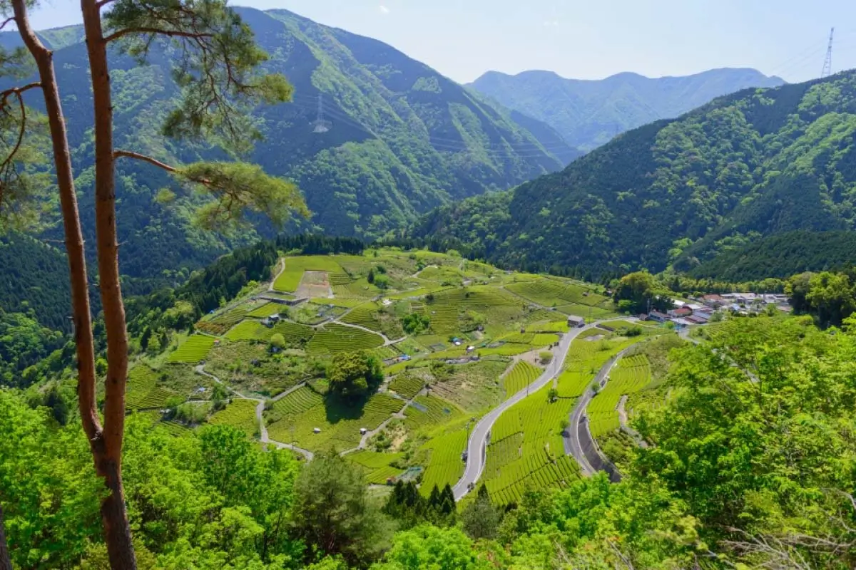 2026 半程马拉松
